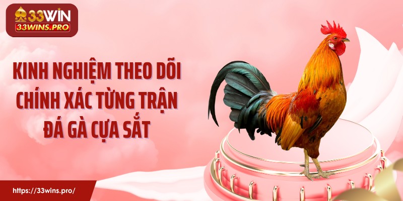 Kinh nghiệm theo dõi chính xác từng trận đá gà cựa sắt