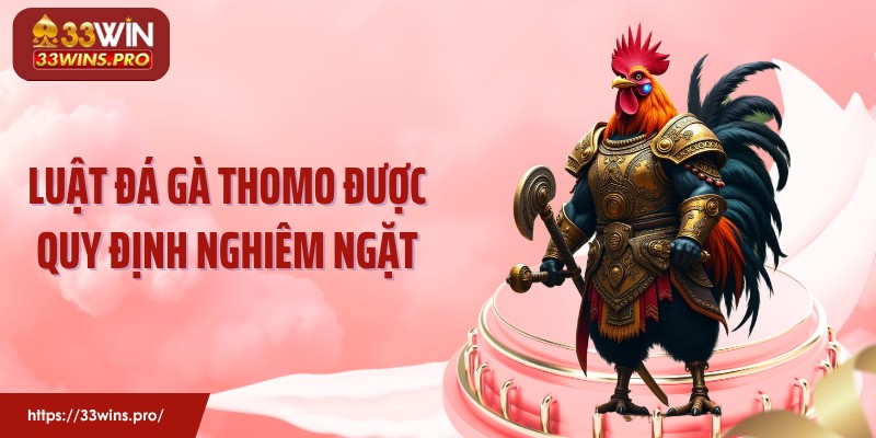Luật đá gà Thomo được quy định nghiêm ngặt